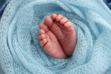 The tiny foot of a newborn baby. Soft feet of a new born in a blue wool blanket. Close up of toes, heels and feet of a newborn. Macro photography. 