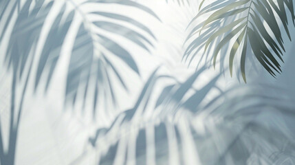 Blurred shadow from palm leaves on the light white color wall. Minimal abstract background.