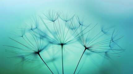 Delicate dandelion seed close up with soft blue sky, blurred seeds dispersing, intricate texture