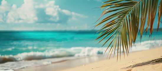 Fototapeta premium Engaging and Natural: Vibrant Palm Leaf Against Tropical Beach Background, Perfect for Summer Getaways and Travel Vibes