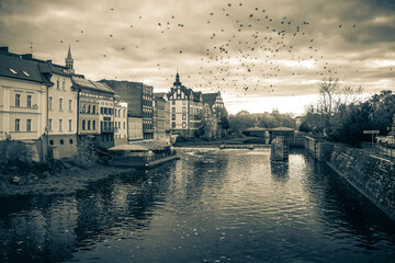 kanał w mieście z kamieniczkami na brzegu i latające ptaki © Henryk Niestrój
