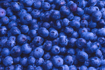 Fresh blueberry background. Texture blueberry berries close up.