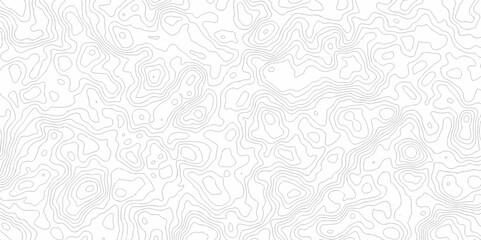 Vector geography landscape Topo contour map on white background, Topographic contour lines. Seamless pattern with lines Topographic map. Geographic mountain relief diagram line wave carve pattern.