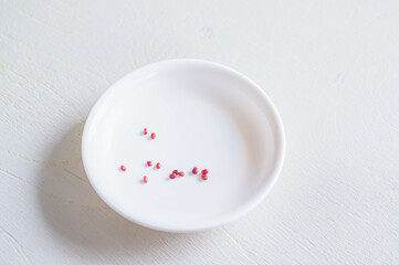 野菜のたね　大根