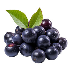 Fototapeta premium Fresh black aronia berries with water droplets and green leaves isolated on a white background. Nutritious superfood rich in antioxidants, vitamins, and fiber. Perfect for smoothies, juices, and healt