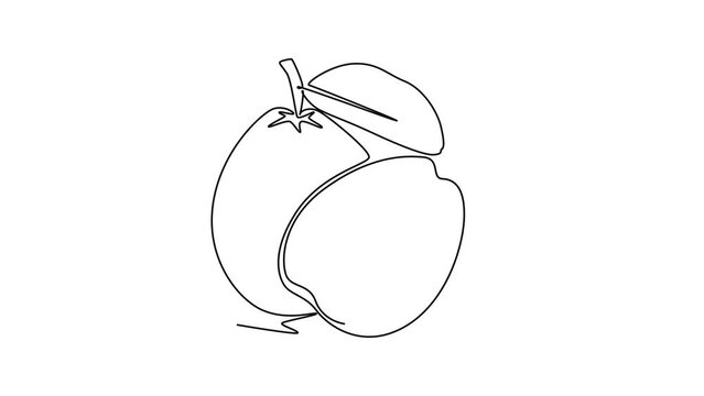 Self drawing animation of single line draw whole and half sliced healthy organic java guava for orchard logo identity. Fresh fruit concept for garden icon. Continuous line draw. Full length animated
