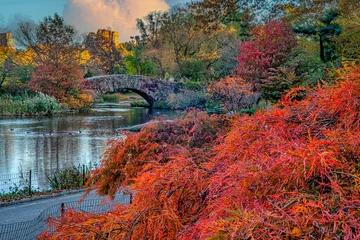 Gapstow Bridge in Central Park, late autumn