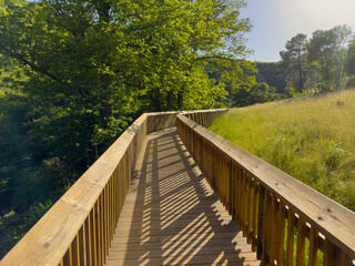 Obraz premium A serene walkway in nature’s lap, the wooden footbridge basks in the sunlight, casting long shadows amidst lush greenery