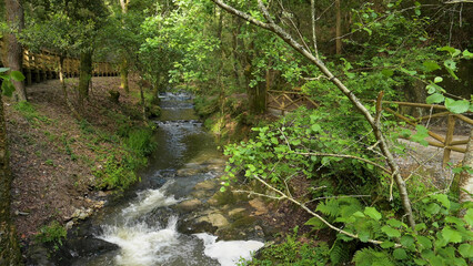 Obraz premium Wooden footbridge in Stanislaus fountain park