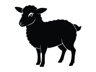 Beyond the Wool Embracing the Simplicity of Black Sheep Silhouettes