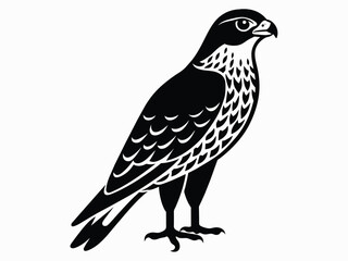 Majestic Hunters Unveiling the Beauty of Cooper's Hawks