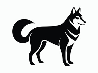 Siberian Majesty The Enigmatic World of Huskies