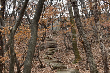 A hiking trail with wooden logs as stairs going uphill in Bukhansan National Park