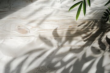 Plant casting shadow on wood