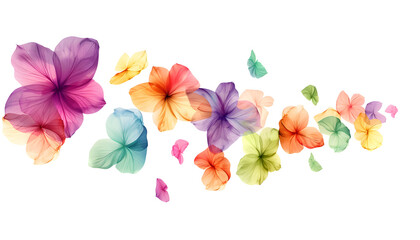 Fresh flying colorful flowers transparent structure and leaves isolated on white