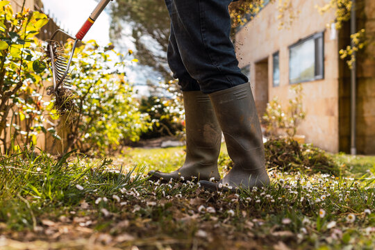 Gardener in rubber boots raking leaves in a sunny garden