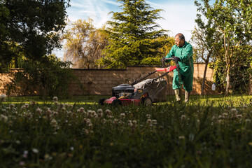 Mature man mowing lawn in sunny backyard