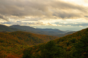 Obraz premium Appalachian Fall in Shenandoah National Park 