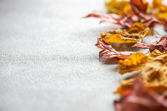 Autumn leaves on textured background in soft autumn colors