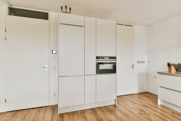 Minimalist kitchen design in a Spoorlaan, Netherlands apartment