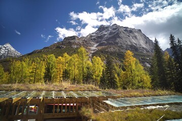 The Autumn in Siguniang Mountain at west of the capital city of Chengdu in Xiaojin country ,Sichuan ,China