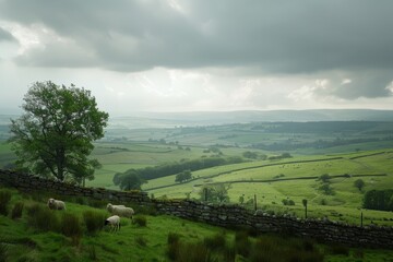 Obraz premium English countryside, green hills and stone walls, sheep in the distance, cloudy sky