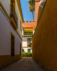 A beautiful white villa with plant pots outside is lit by the sunlight down a narrow backstreet in Seville, Spain 