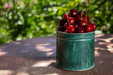 Fresh cherries straight from the garden, in green dishes, against a background of green leaves, the concept of healthy eating