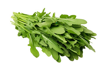 Fresh green arugula leaves in a bundle isolated on white background. Perfect for salad, garnish, or healthy cooking.