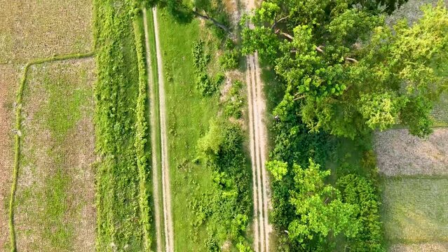 Top down aerial view of serpentine road and houses in tropical rainforest of Baras Catanduanes Island Village Road Top down Aerial view top view drone view 
