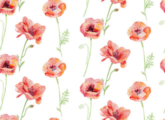 Watercolor poppy flower seamless pattern, wild flowers botanic illustration