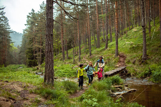 Family crossing a wooden bridge during a scenic forest hike