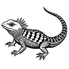 lizard silhouette vector illustration