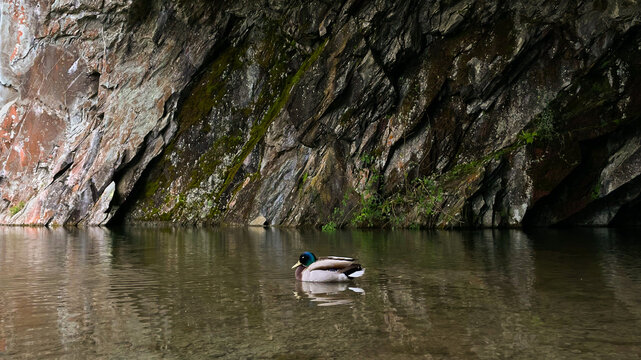 cave with lake and a duck sleeping