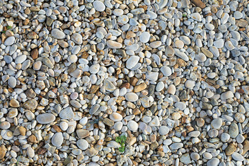 Small beige and grey sea pebbles. Natural stone background or wallpaper picture. Summer holidays and garden design concept. Construction and decoration material. Seaside. Path cover material.