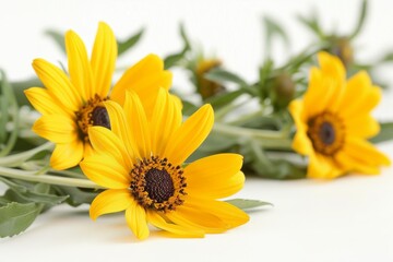 Fototapeta premium Bright yellow flowers in full bloom, capturing the vibrant colors and joyful essence of these cheerful blossoms