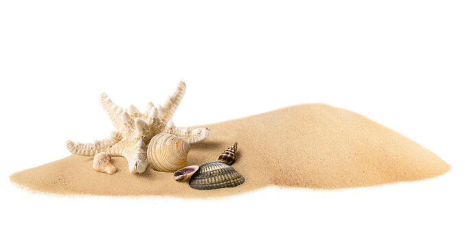 a pile of sand and a starfish with shells on it, on a white isolated background