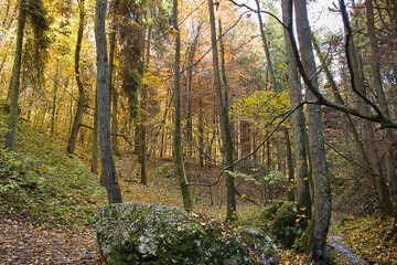 Obraz premium Autumn forest landscape with large boulders