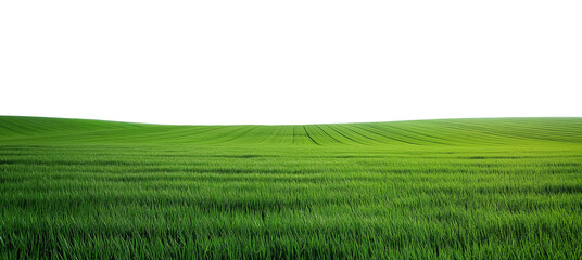 green field and grass, hills landscape cut out