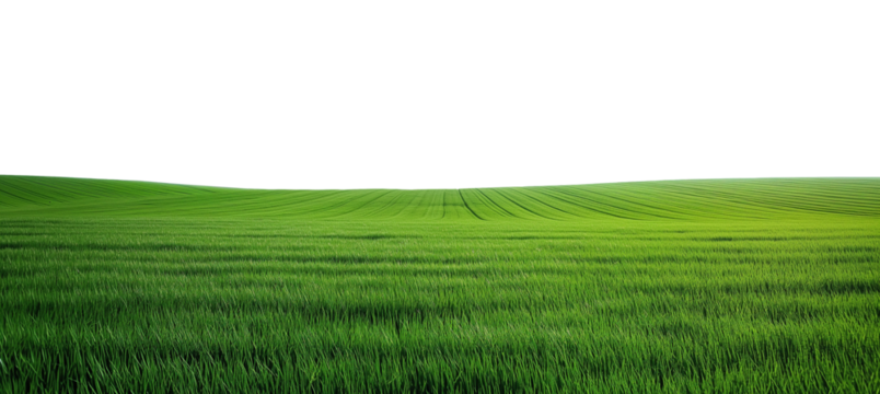 green field and grass, hills landscape cut out