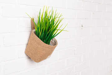 Hanging canvas planters on white wall background. Natural jute small basket