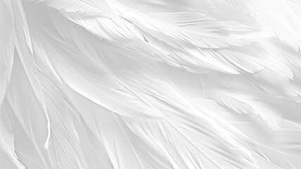 Obraz premium white feathers background, generative ai 