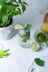 Fresh summer mojito cocktail drink in glass on table, ingredients for mojito beverage, limes and mint on marble background, soft natural light