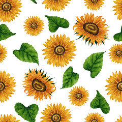 Watercolor sunflower seamless pattern. Floral background with yellow flowers. Summer floral composition. Autumn flowers arrangement. Hand drawn botanical illustration for packaging, textile, scrapbook