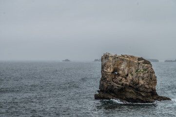 Coast with Rock in Peniche portugal