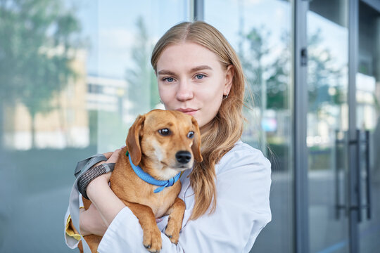 Young veterinarian smiling and holding dog near the vet clinic entrance. Healthy dog, diagnostic, treatment of domestic animals. High quality photo