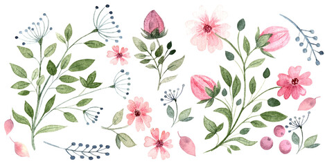 Set of watercolor illustrations of wildflowers, buds, leaves and dill. The illustration is drawn by hand, suitable for cards, embroidery, clipart, textiles and decoration, packaging and scrap paper.