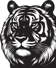 tiger head vector illustration