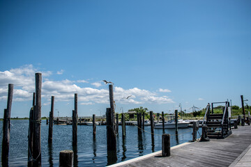 Boat docks and marine pilings blue skies