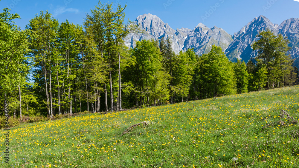 Poster landscape in the mountains